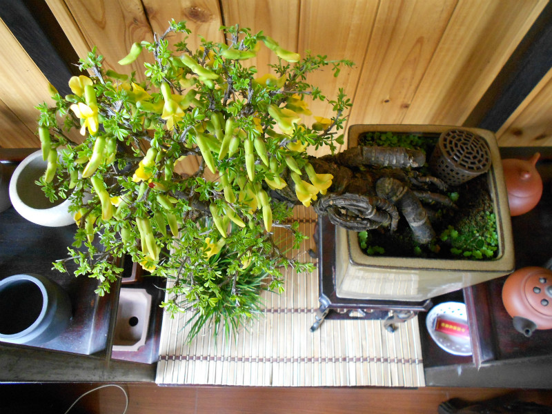 DSCN0444_meitu_2.jpg