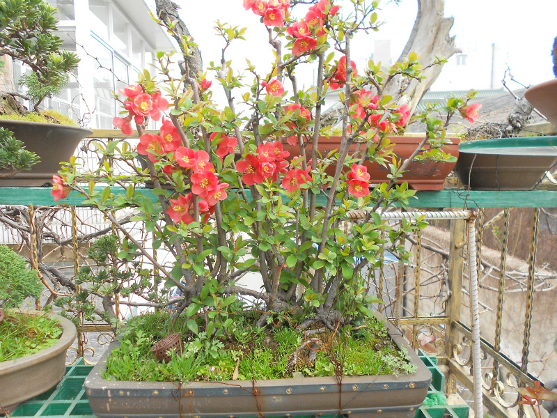 DSCN0393_meitu_6.jpg