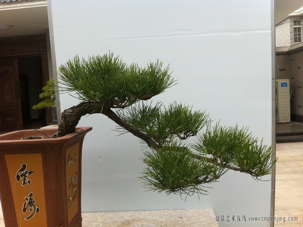 20130408ˮ1000.jpg