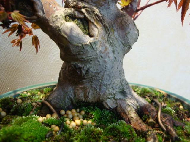 DSC03195.JPG