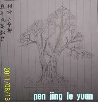 100_9077__.JPG