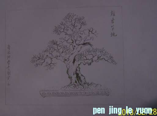 101_0892_.JPG