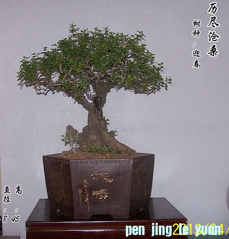 101_1878_.JPG