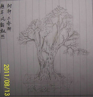100_9077__.JPG