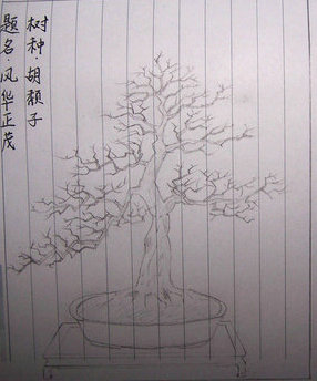 100_9075__.JPG