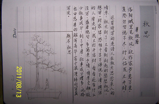 100_9087_.JPG