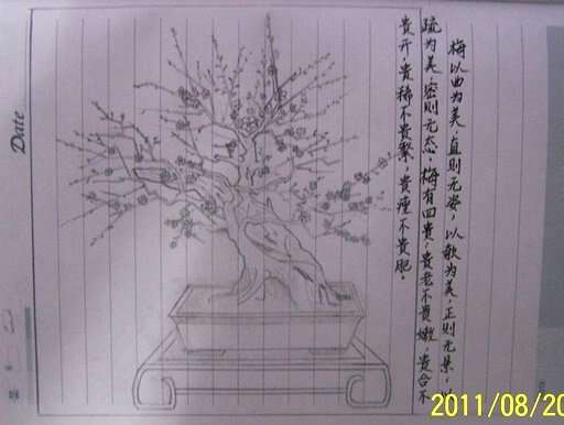 173333skqpsgid7ksr7sy8.jpg.thumb.jpg