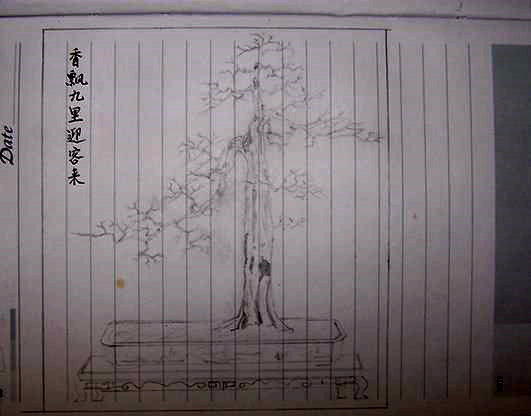 173216j7ekwe7qqgq9a72q.jpg.thumb.jpg