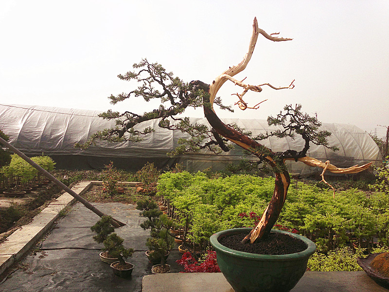 201304092682_.jpg