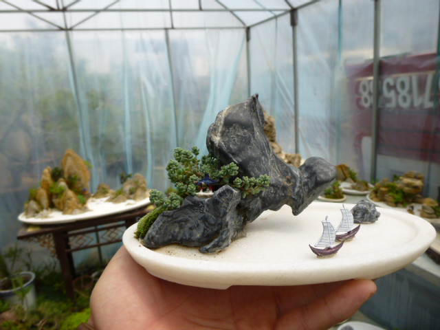 P1020554.JPG