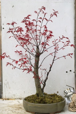 ˫ˡ13,4,10.jpg
