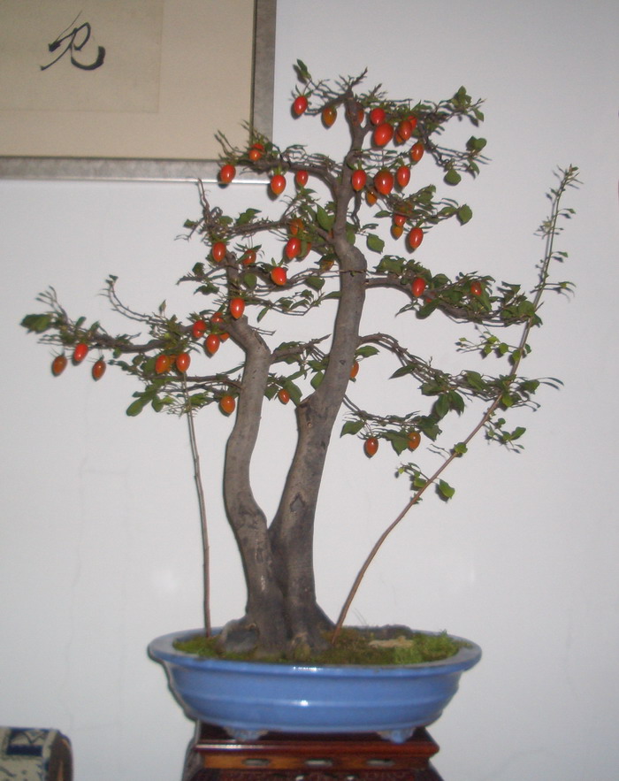 ˫111028aa.JPG