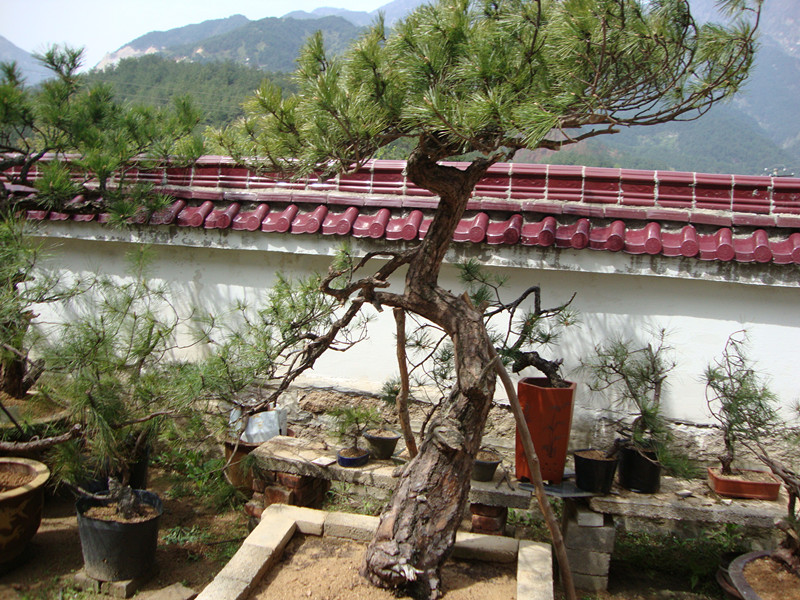 ��1.8�״�23����18956936007