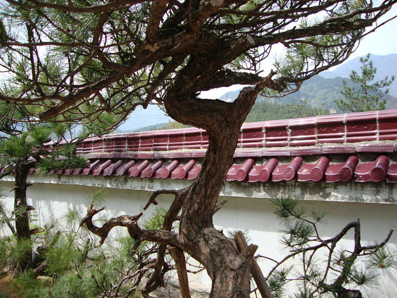 DSC01027_.jpg