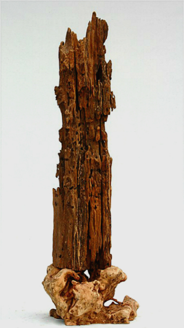 psb11.jpg