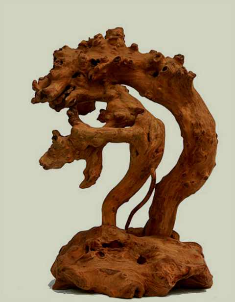 psb (1).jpg
