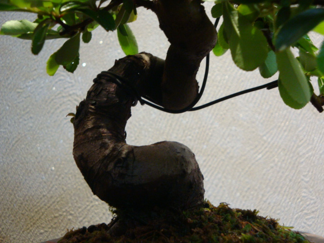 DSC03327.JPG