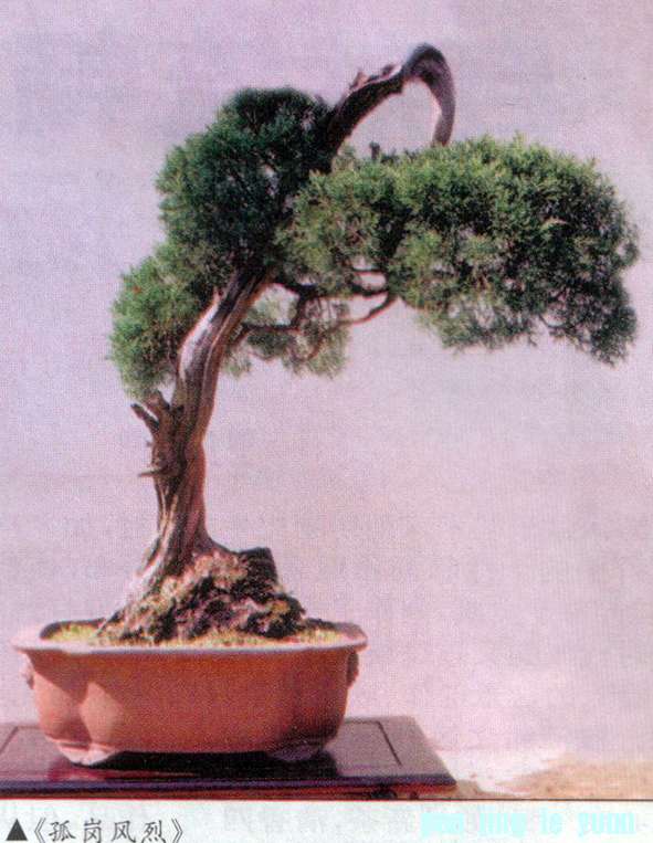 ֹ-¸ڷ .jpg