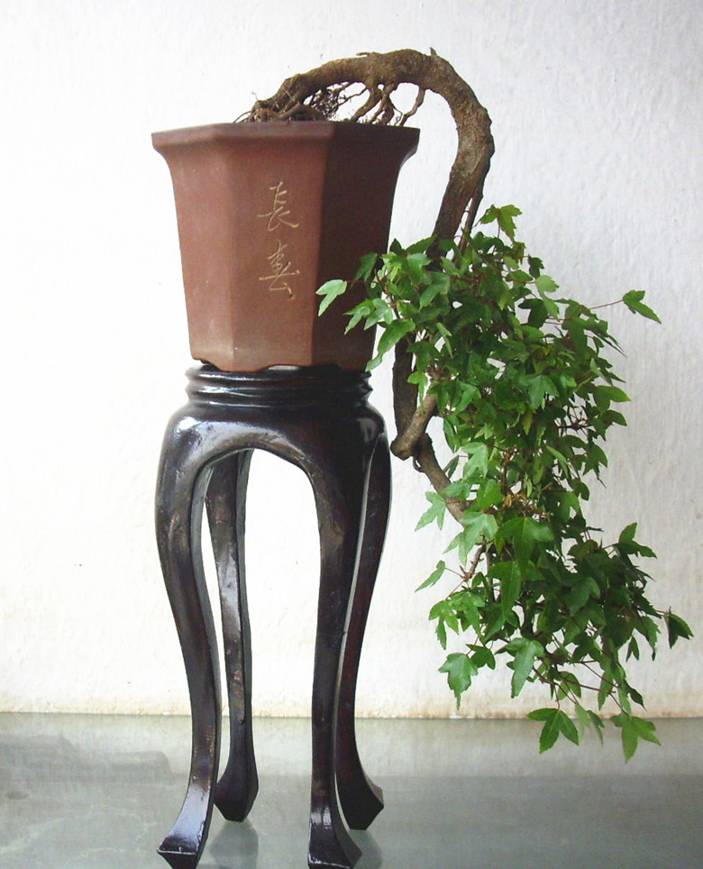 DSCI0122_.jpg