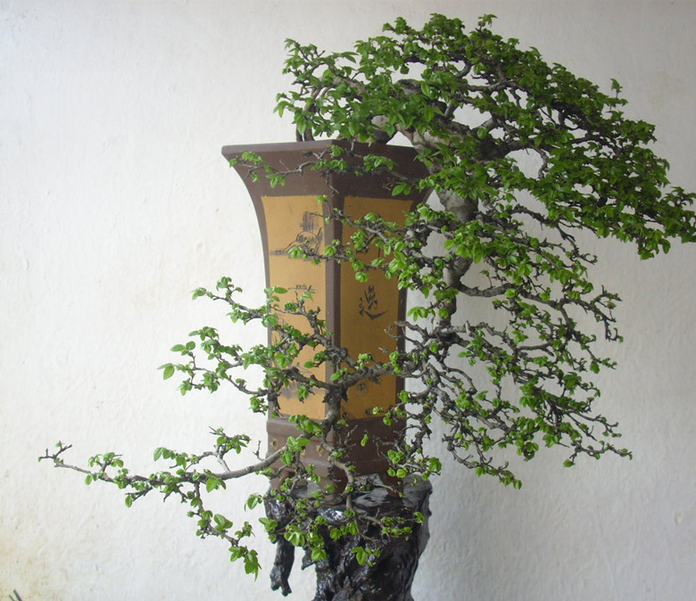 DSCI0125_.jpg