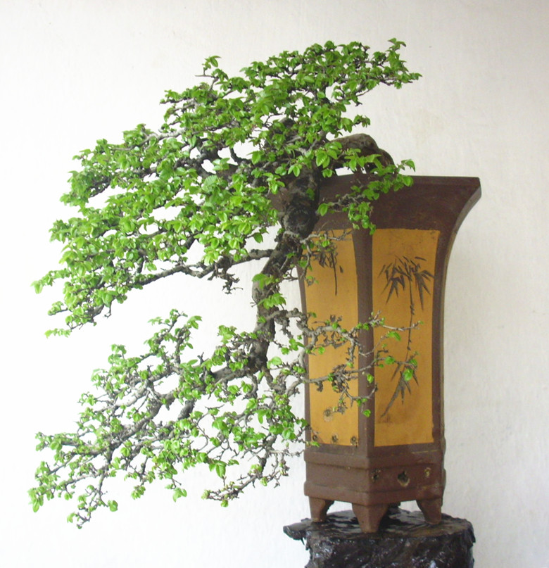 DSCI0127_.jpg