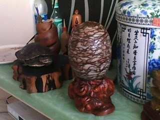 IMG0021A.jpg