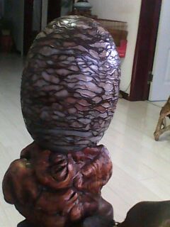 IMG0154A.jpg