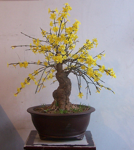 101_0245_.JPG
