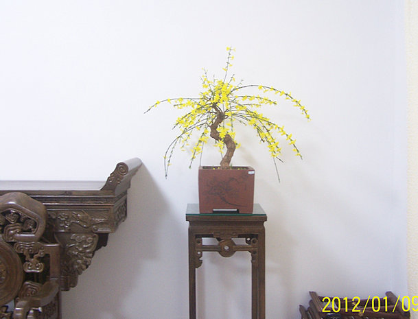 101_0088_.JPG
