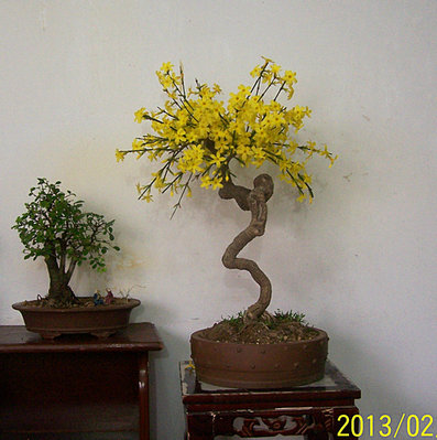101_0713_.JPG