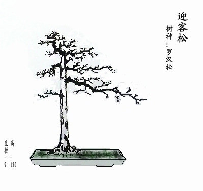 101_0372__.JPG