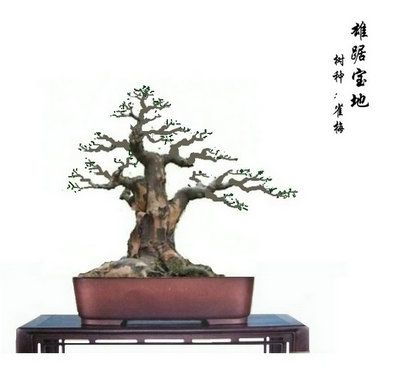 203115ssxsqxq675q5033s.jpg