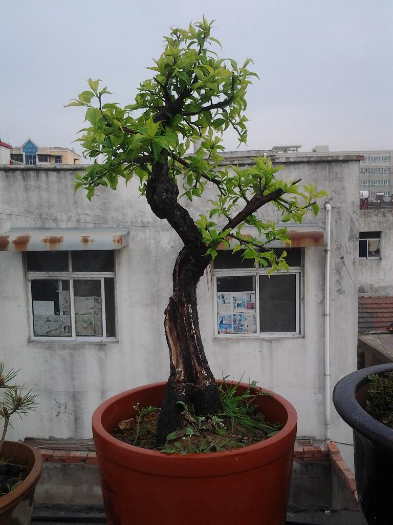 20130409_171506.jpg