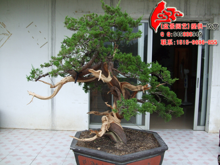 DSCF1071.jpg