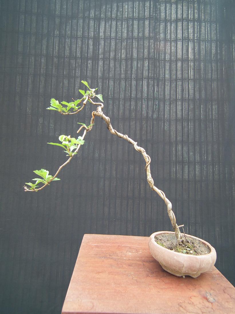 DSCF6224.JPG