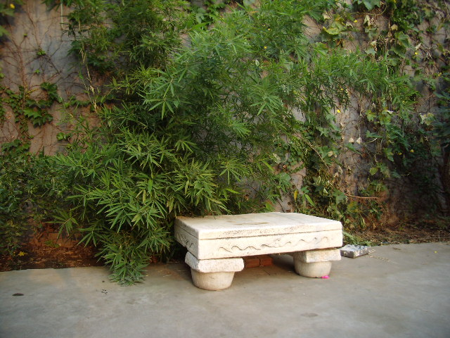 P9250084.JPG