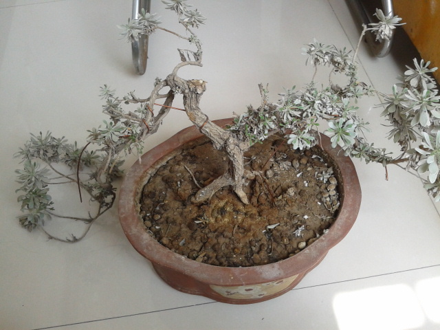 2013-04-14 12.20.36.jpg