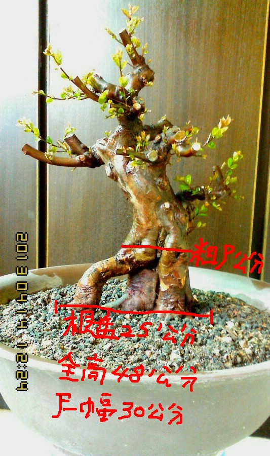 IMG0414122400.jpg