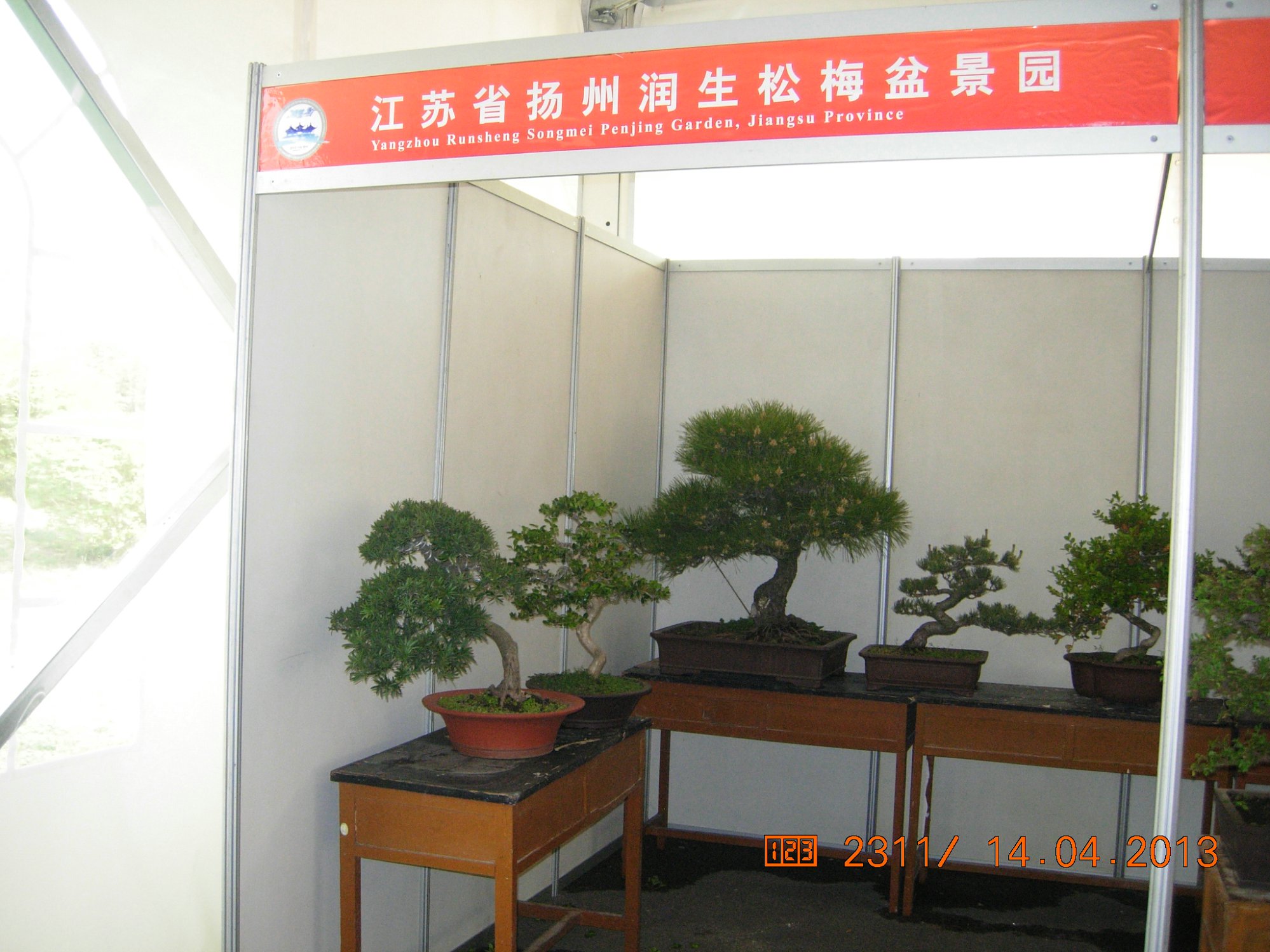 DSCN6670.JPG