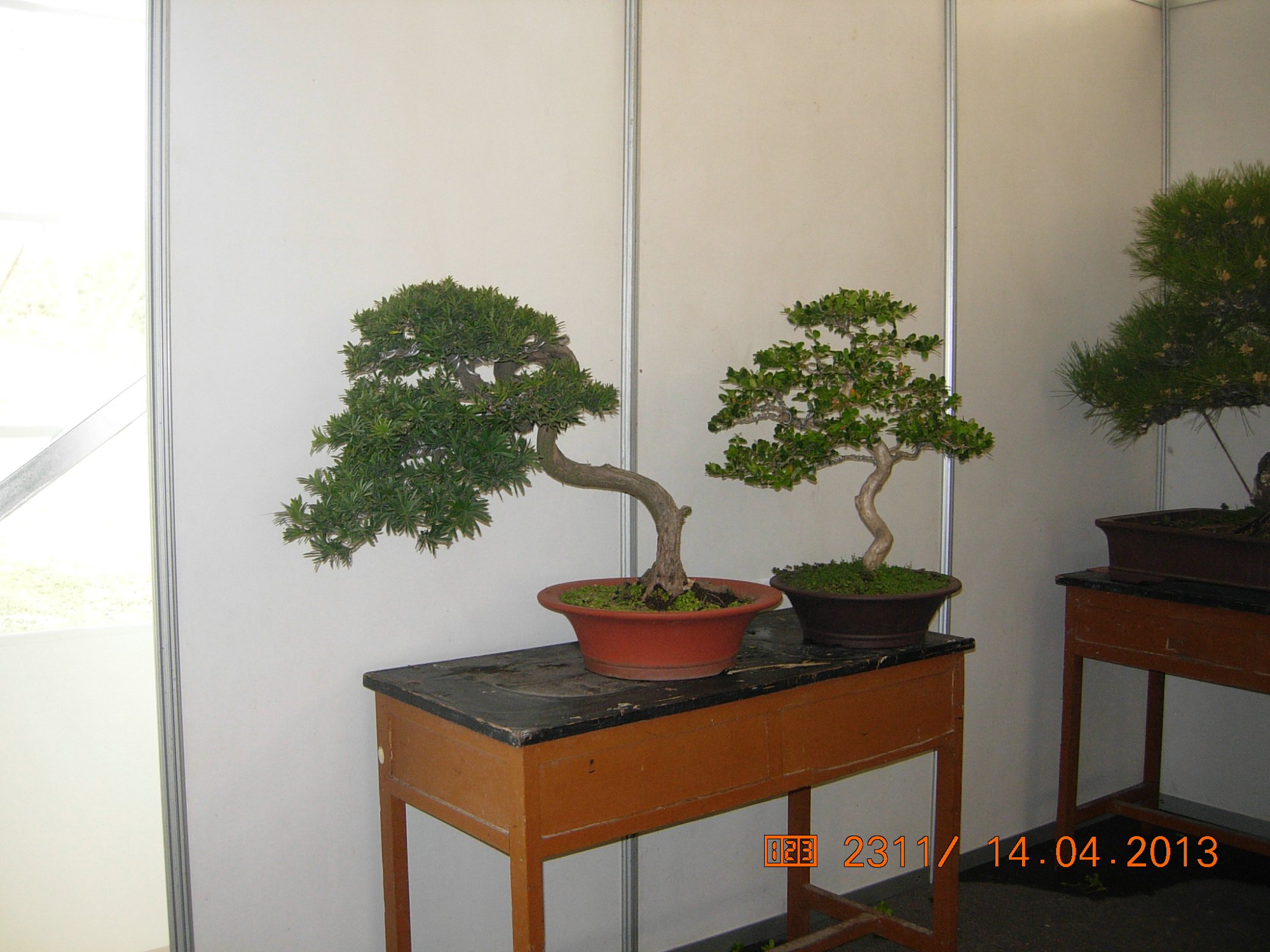DSCN6671.JPG