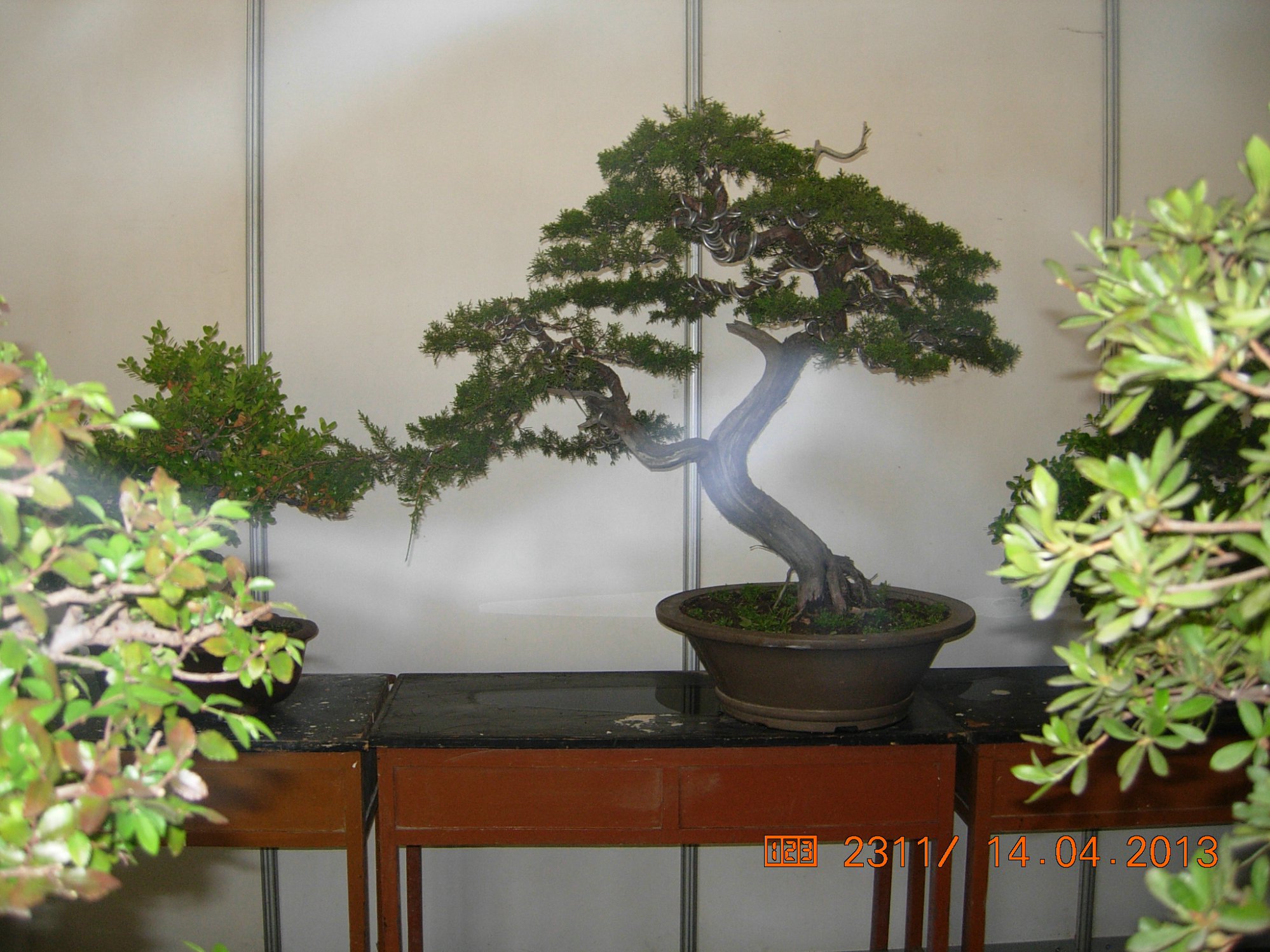 DSCN6673.JPG