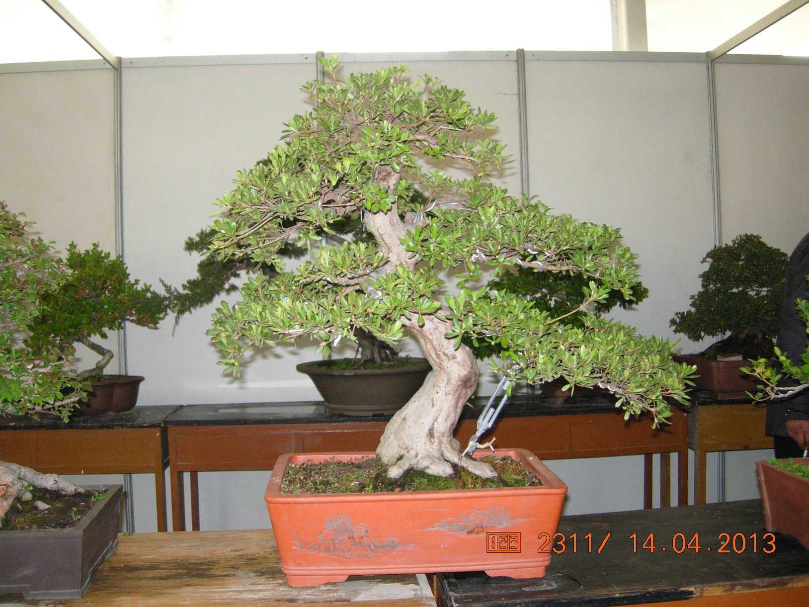 DSCN6674.JPG