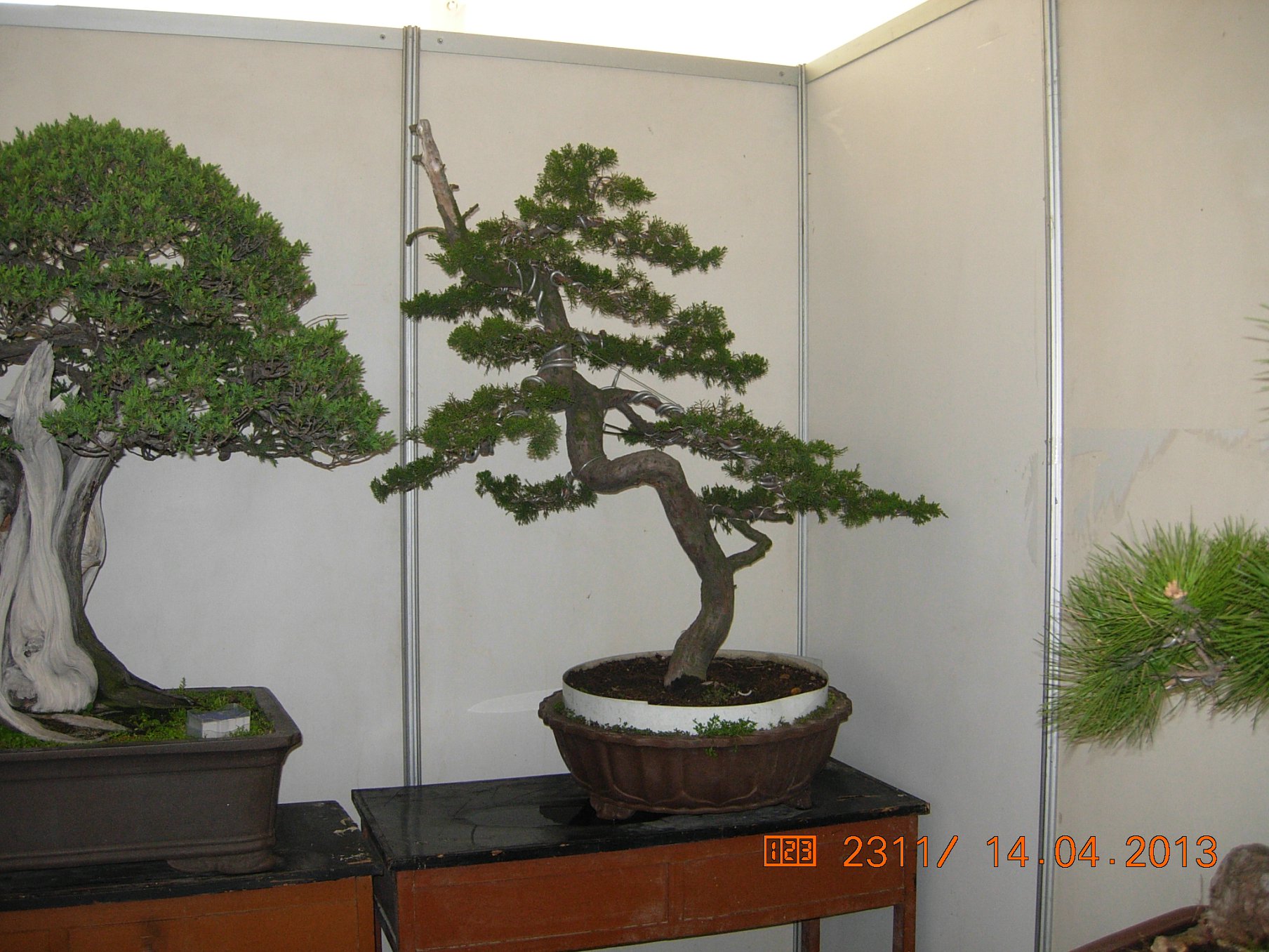 DSCN6675.JPG