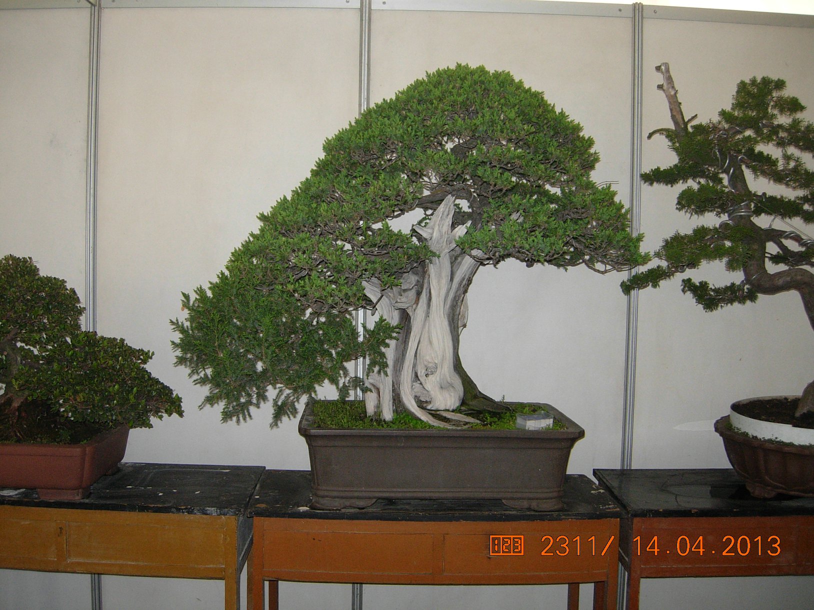 DSCN6676.JPG