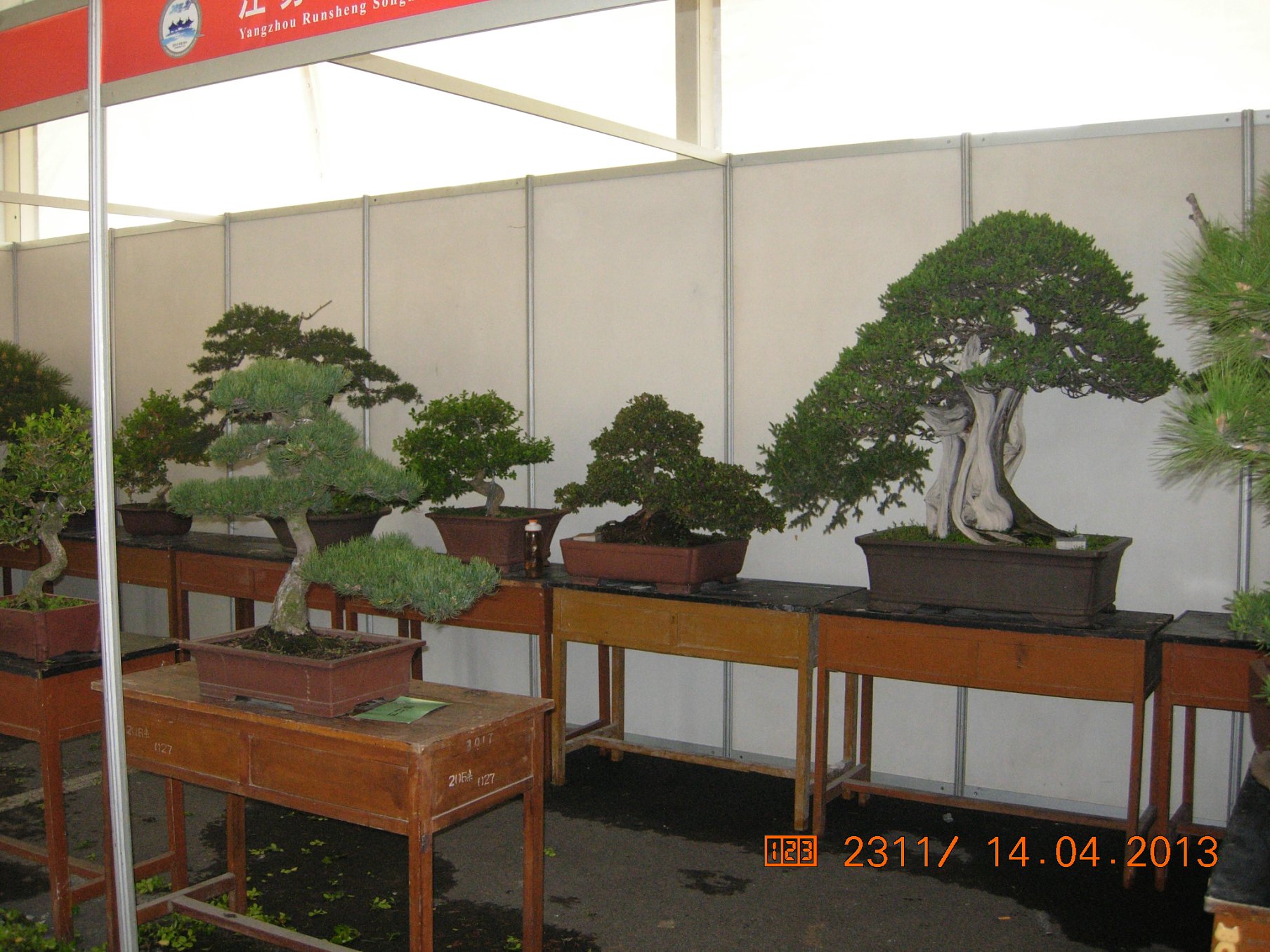 DSCN6677.JPG