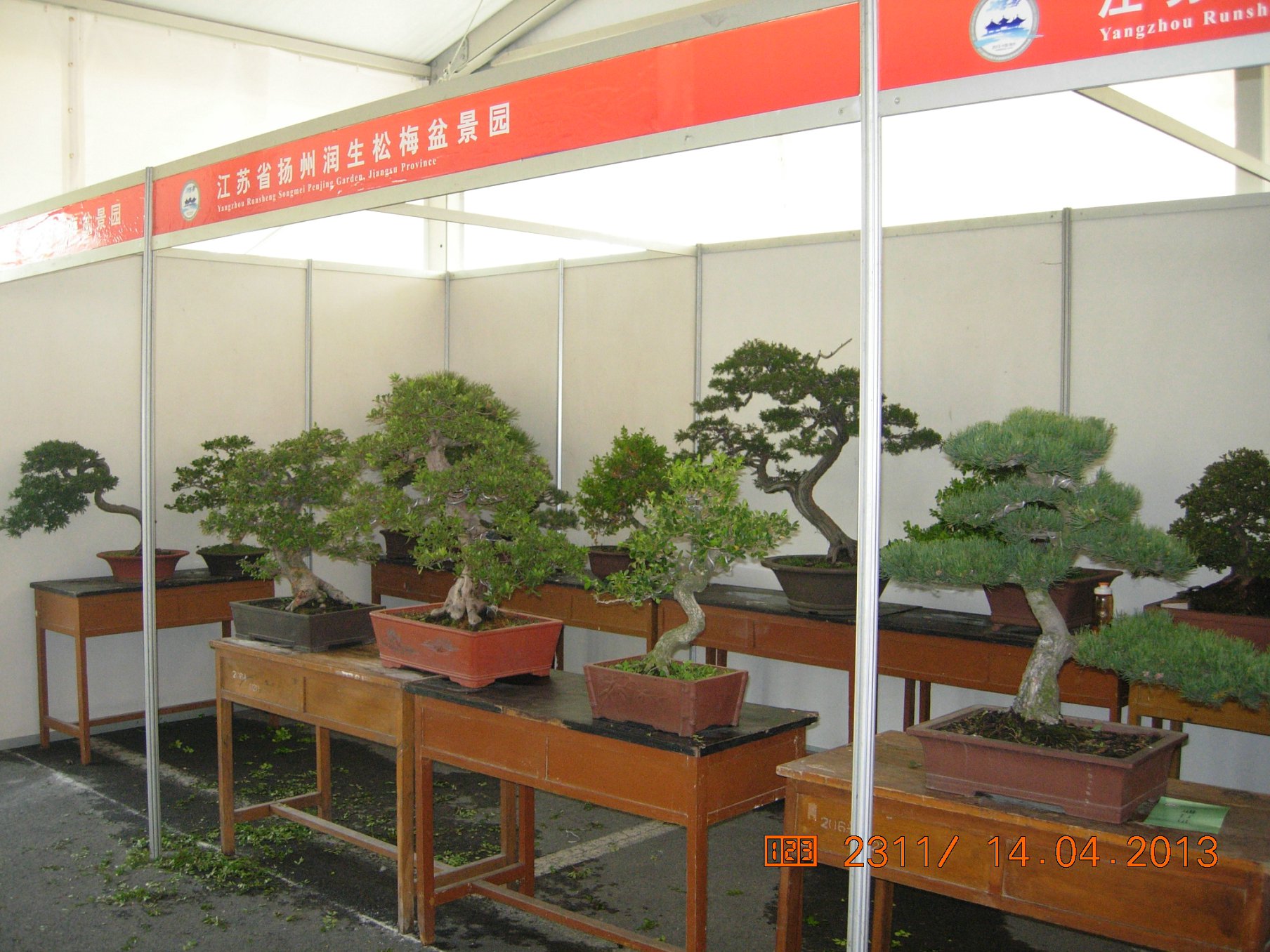 DSCN6678.JPG