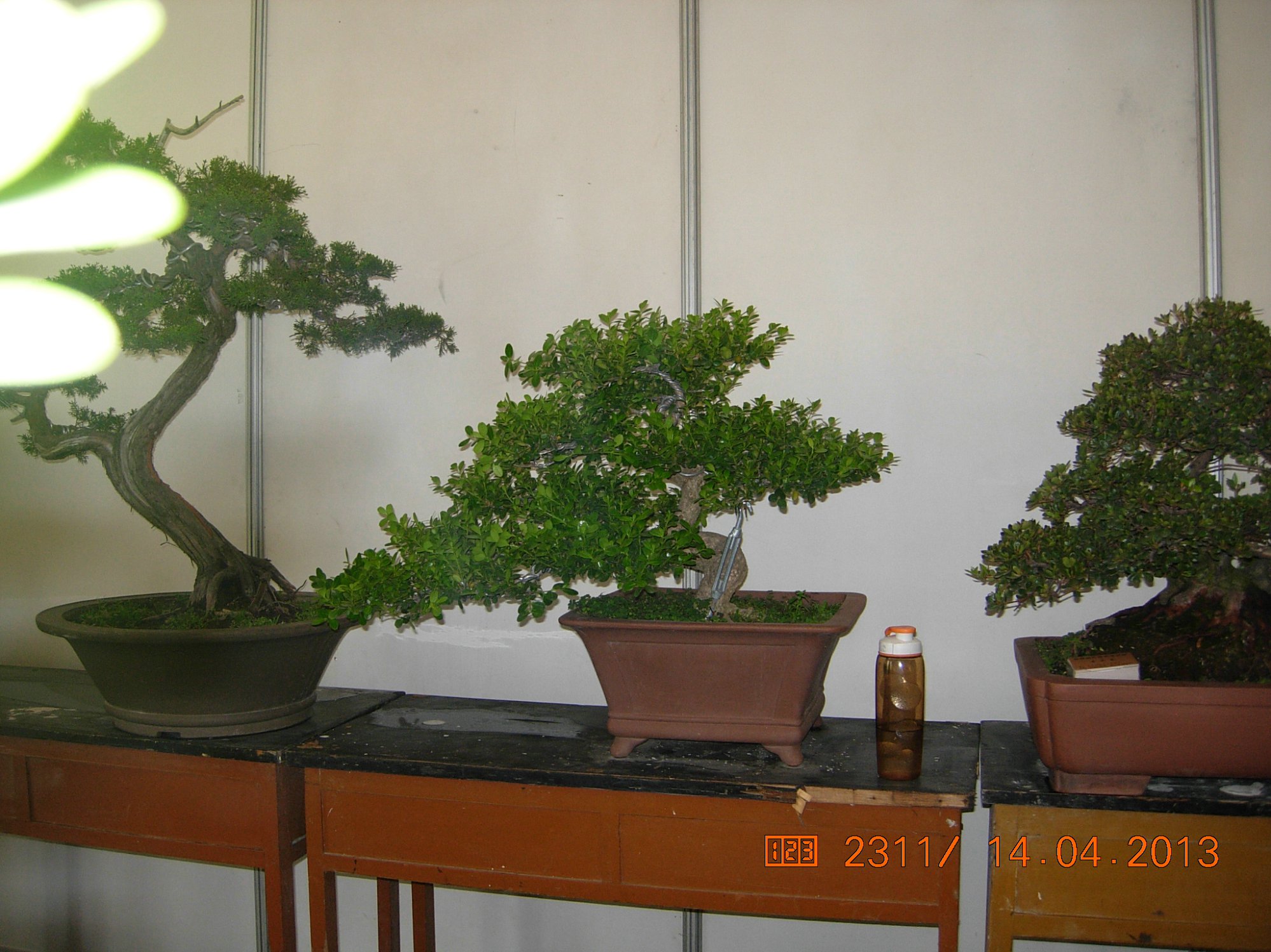 DSCN6679.JPG