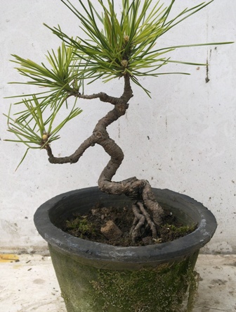20130411524.jpg