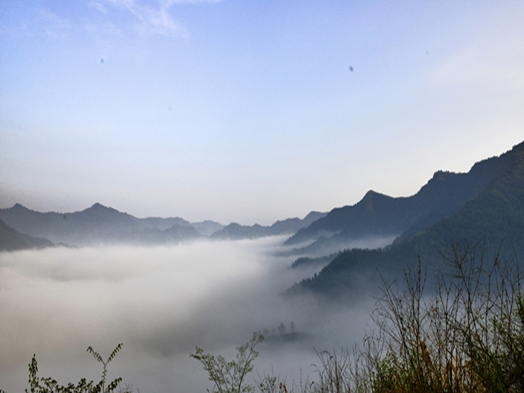_DSC0540_1234.jpg