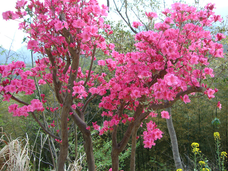 DSC01037_.jpg